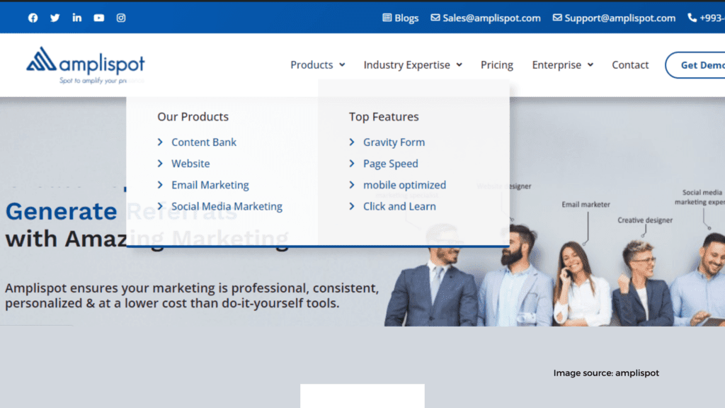 professional website